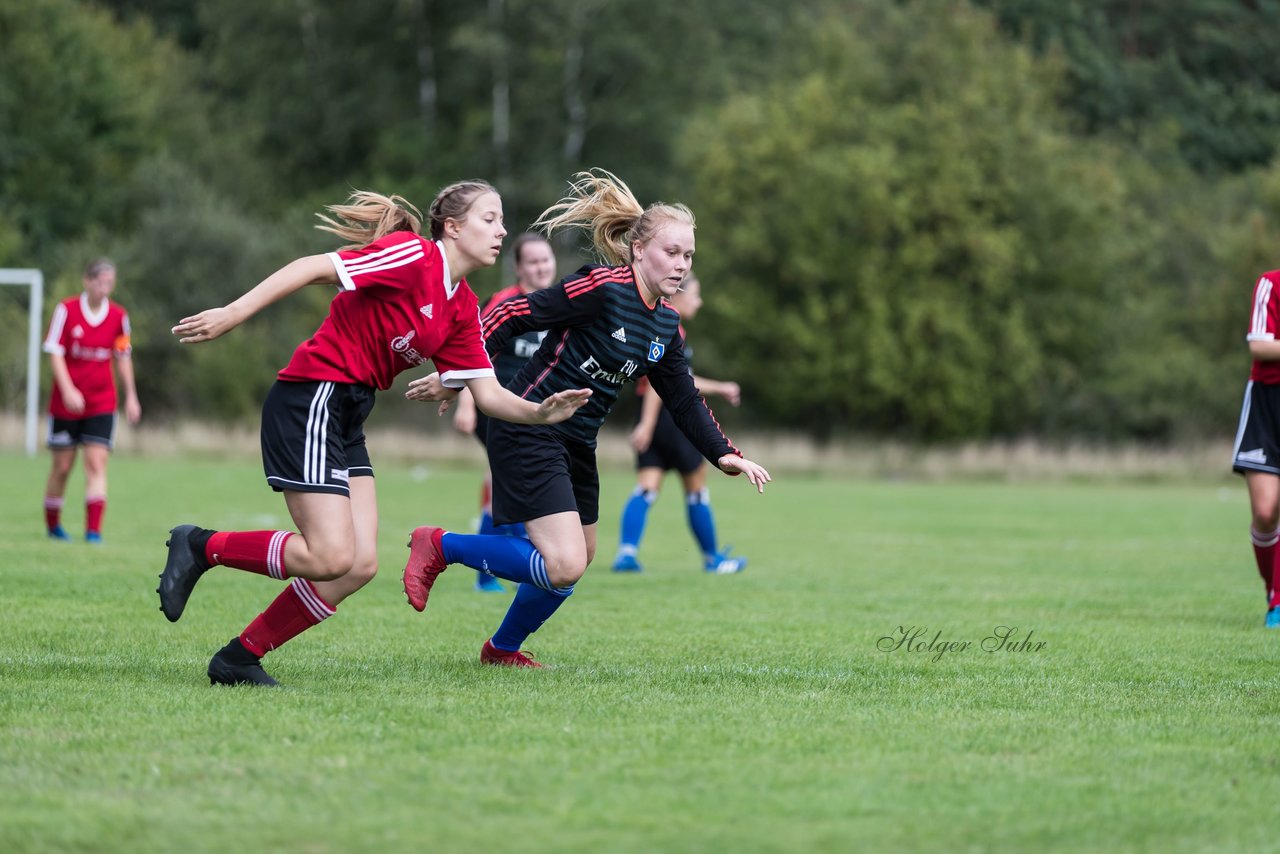 Bild 304 - Frauen SG NieBar - HSV 2 : Ergebnis: 4:3